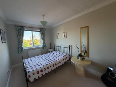 Picture 12